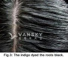 250318111128_Hair-Dyed with indigo-s.jpg